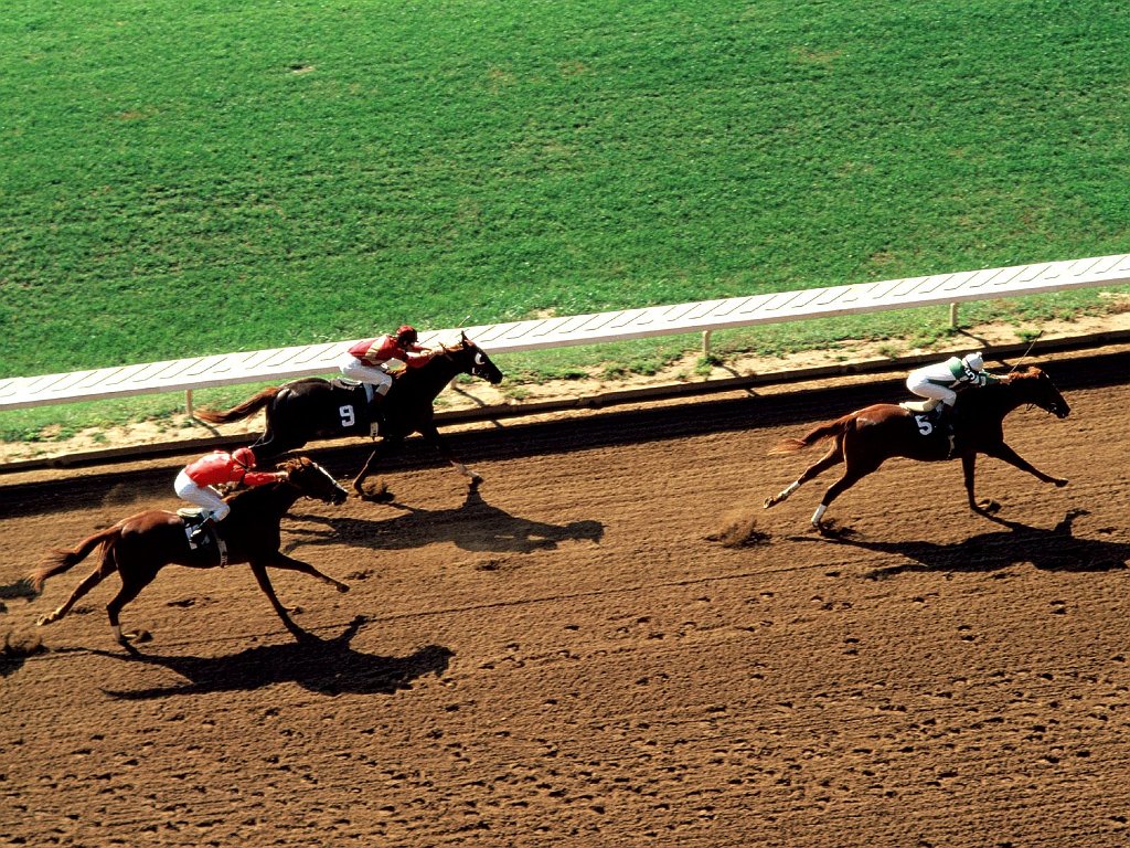 A Day at the Races